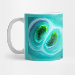 cyanobacteria dividing cells Mug